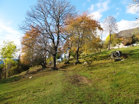 Wundervolle Herbstlandschaft