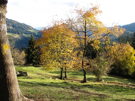 Herbstfarben...
