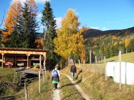 Die Bume glnzen in der Sonne in allen Farben