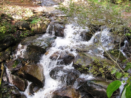 Glasklares Wasser im Tassachbach