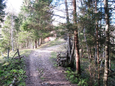 Schne Wege durch den Wald