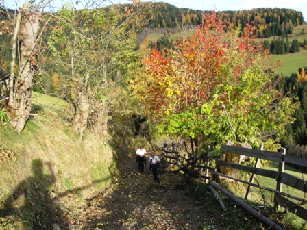 Durch diesen steilen Hohlweg werden sie kommen