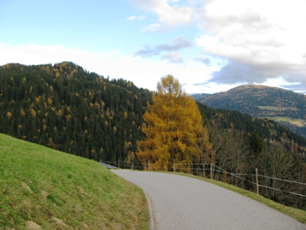 Herbstliche Landschaft