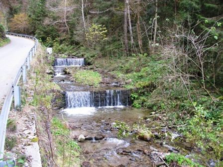 Stufen im Tassachbach