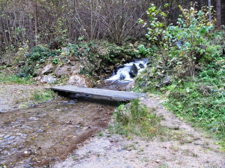 Steg ber einen querenden Bach im Brennwald