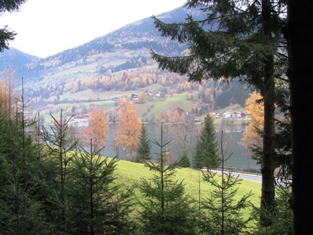 Blick aus dem Brennwald zum Feldsee