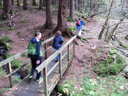 Walter, Sigi und Karin im Sauseschritt durch den Brennwald