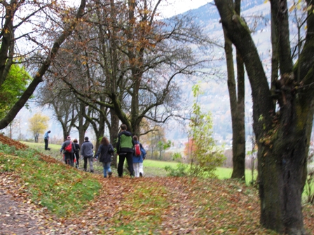 Durch schne Herbstwlder...