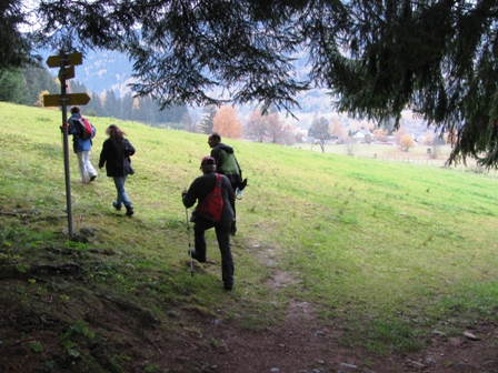 ber Wald und Wiese