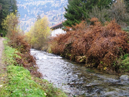 Entlang des Riegerbach