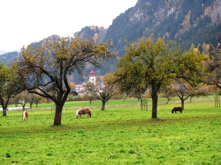 Fernblick zur Kirche von Dbriach