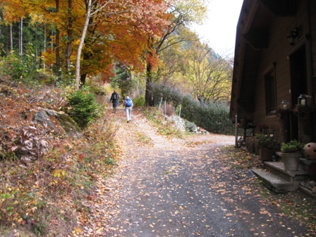Wunderschne Wege durch herbstliche Wlder