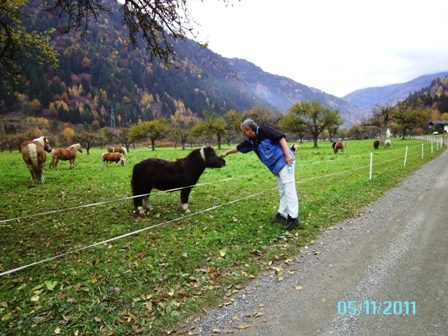 Opa-Helmut beim Pony-streicheln