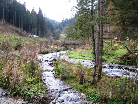 Blick ber den Bach der Gragger-Schlucht