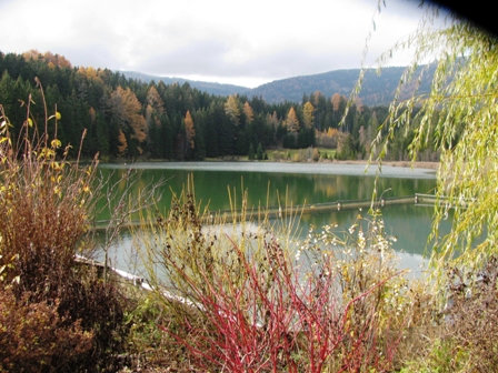 Blick ber den Grasslupteich