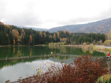 Herrlicher Blick ber den Teich zum Naturpark Grebenzen