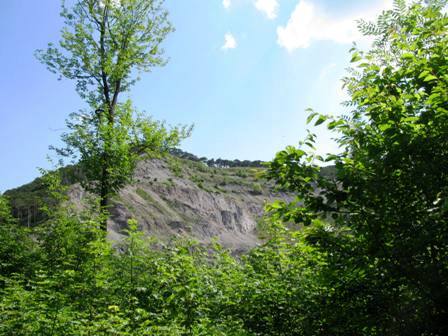 I glaub, den pock ma no!