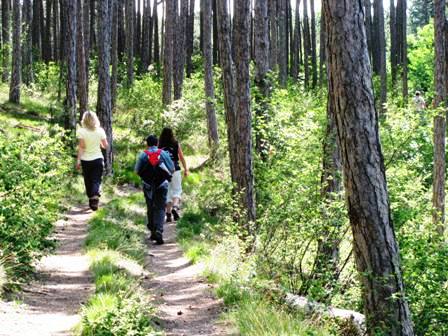 Auf wunderschönen Waldwegen gehts dahin