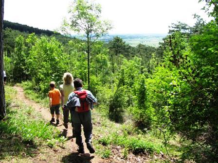 Auf schönen Pfaden gehts weiter