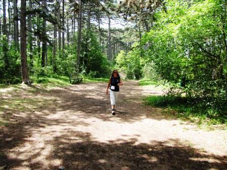 Lockig flockiger Schritt bei Zirberl auf den letzten Kilometern