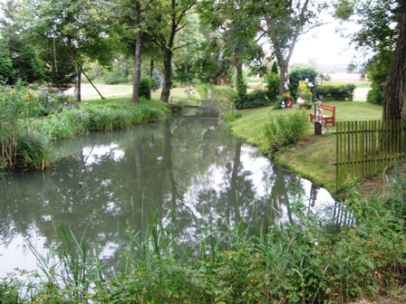 Kleiner Fischteich als Blickfang