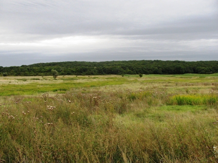 Blick bers Land