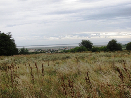Fernblick zum Neusiedler See