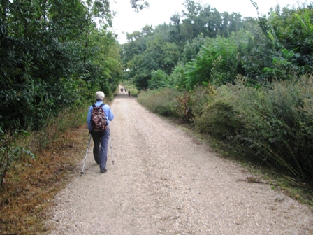 Auf dem langen Weg nach Parndorf