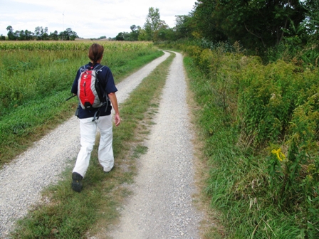 Zirberl nutzt die Wiesenstcke in der Mitter der Schotterstrae