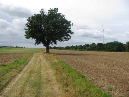 Der Weg ist das Ziel
