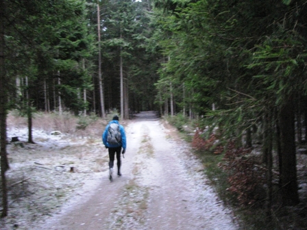 Harald Riegler flitzt durch den Oberrosenauerwald