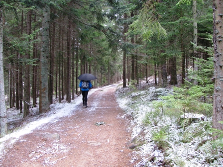 Wunderschne Waldwege nach Kotting Nondorf
