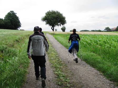 Schöne Forstwege führen Richtung Hiesberg
