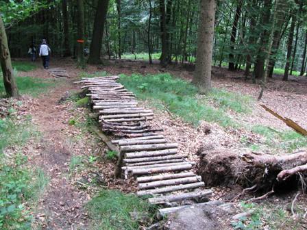 Der Stegbau ist nicht gerade vertrauenserweckend