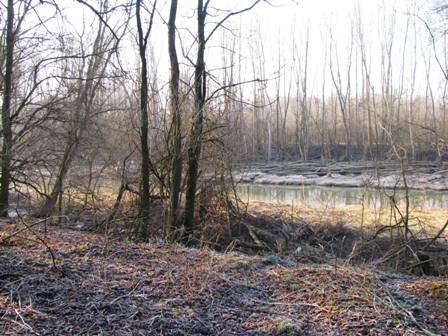 Blick auf einen Seitenarm der Donau in der Stockerauer Au...