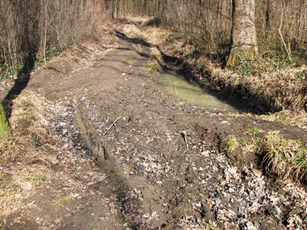 Der Weg ist noch immer gatschig aber weit besser zu begehen als am Samstag