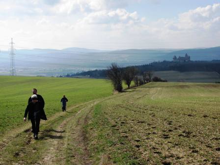 Blick Richtung Korneuburg und zur Burg Kreuzenstein