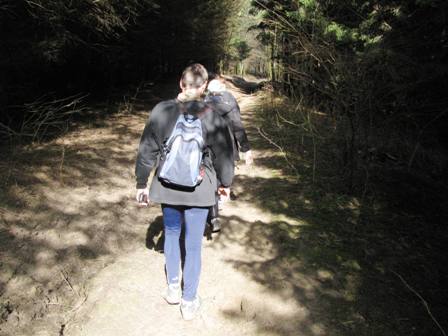 Bei Sonnenschein durch den Rohrwald
