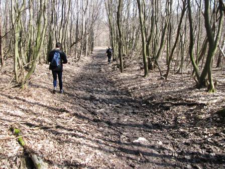 Der Weg ist tief und matschig