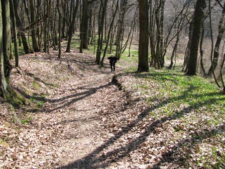 Der Weg wird immer steiler