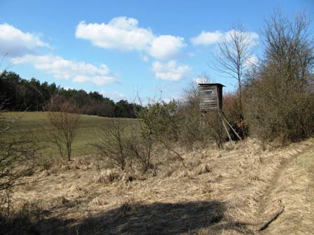 Jagdplatz mit berblick am Michelberg