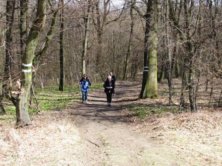 Die Gruppe am Weg zum Waschberg