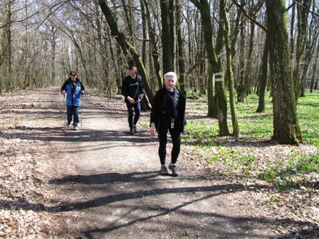 Die Wanderfreunde genieen den Waldweg