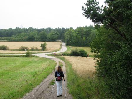 Schne Wege vom Waschberg Richtung Michelberg