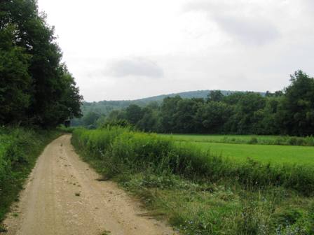 Der schne Weg durch den Rohrwald