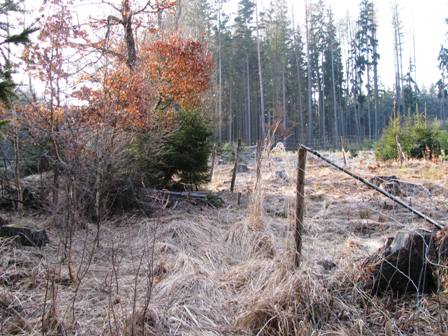 Manchmals sind echt abenteuerliche Wegstücke zu absolvieren