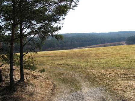 Blick über die Hügel um Lomnička