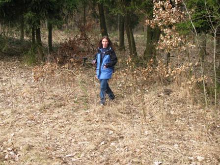 Ein Zirberl bricht durchs Unterholz