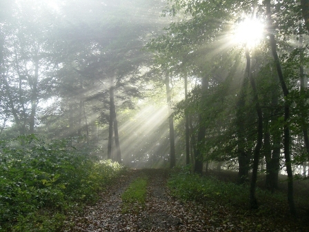 ...und zeichnet herrliche Bilder