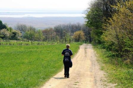 Herrlicher Fernblick auf den Neusiedler See